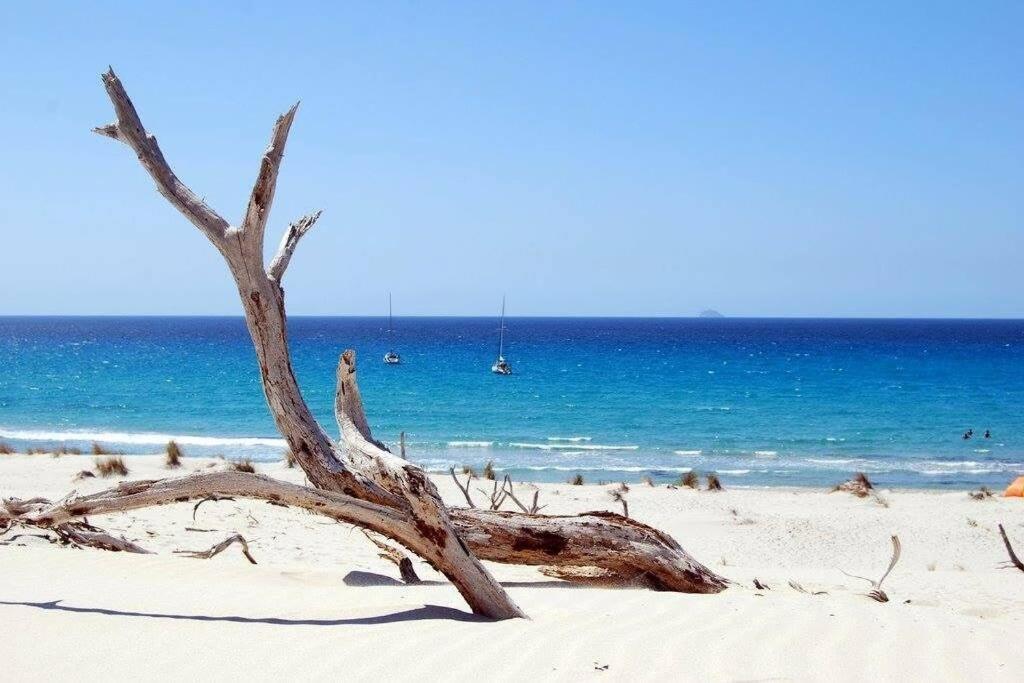 Villa Fenicottero بورتو بينو المظهر الخارجي الصورة